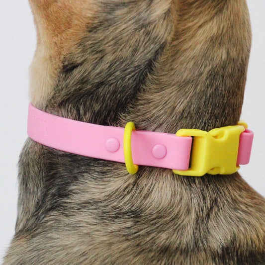 The Fritz Collar – Pink & Yellow - Kitsune & Jo