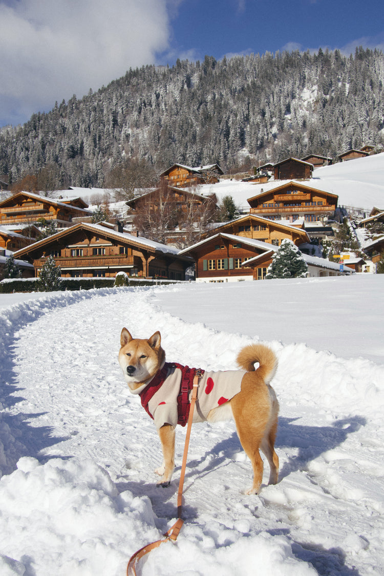 Sherpa Harness – Bordeaux