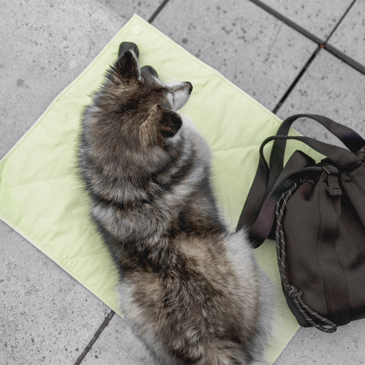 Light-Weight Travel Mat