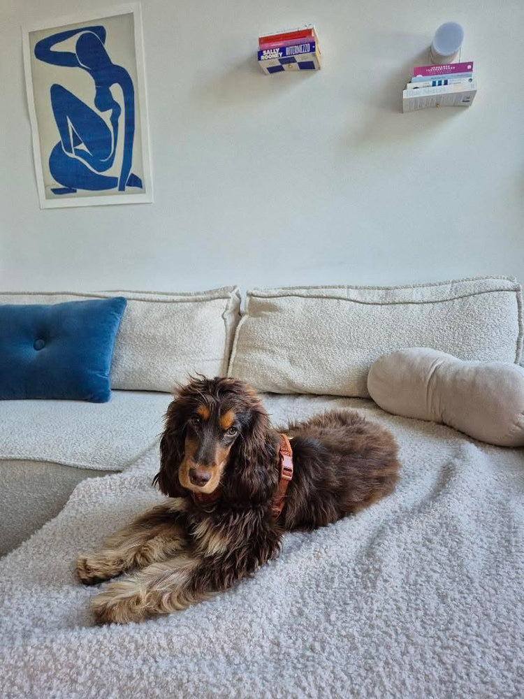 Velvet Dog Harness – Clay