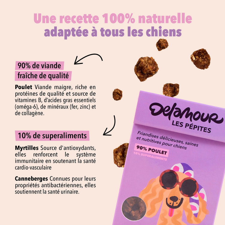 Les Pépites – Air-Dried Chicken Snacks
