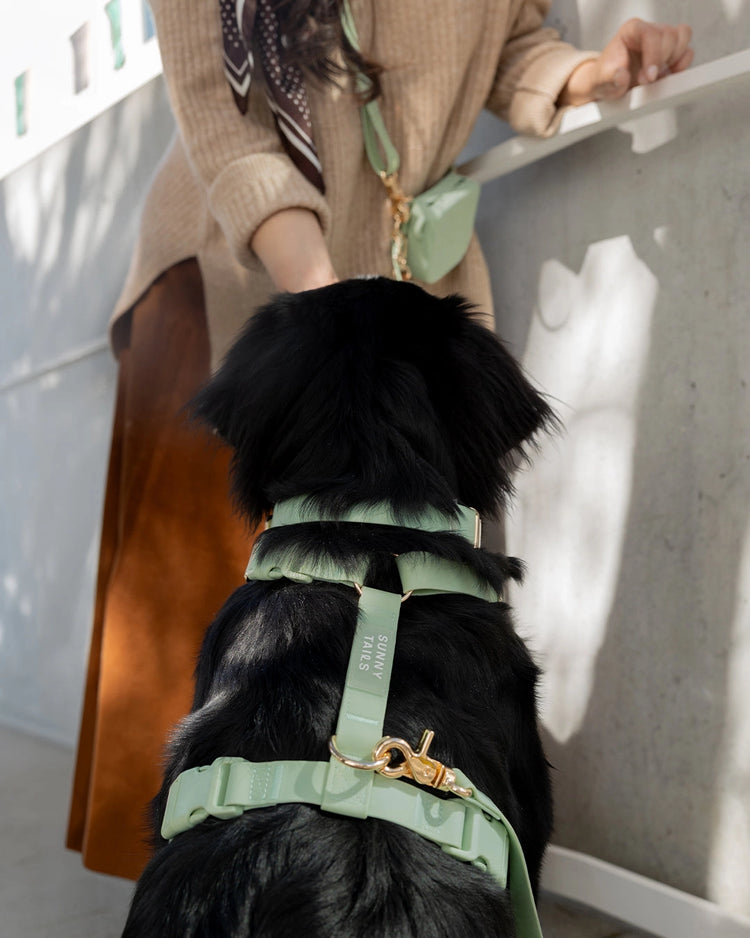 Cloud Lite Dog Harness – Pistachio