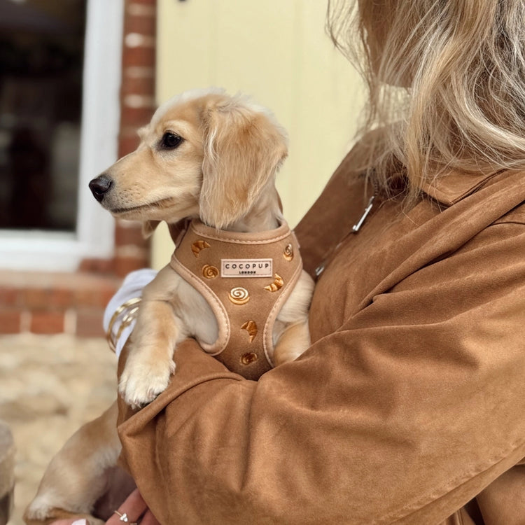 Pettorina Regolabile per Collo Pawtisserie