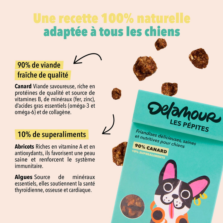 Les Pépites - Air-Dried Duck Snacks