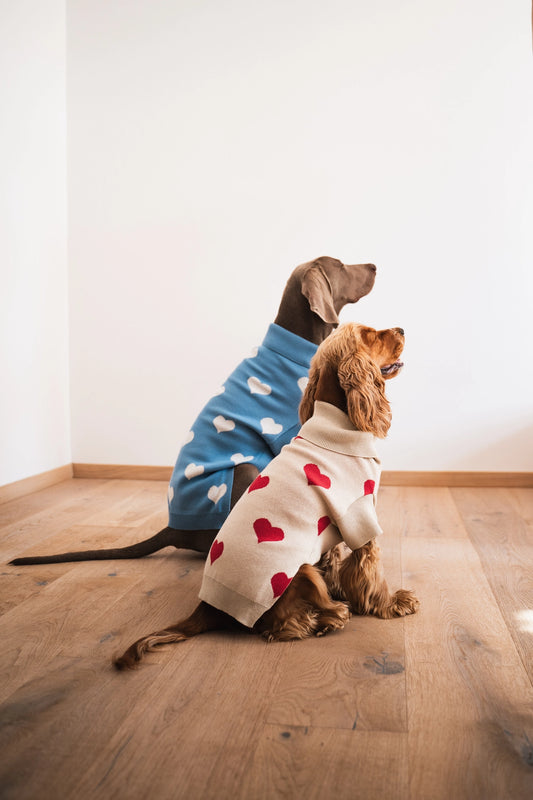Knitted sweater with hearts
