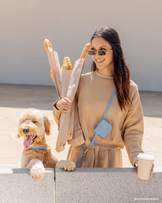 Laisse pour chien mains libres convertible 4 en 1 – Malibu