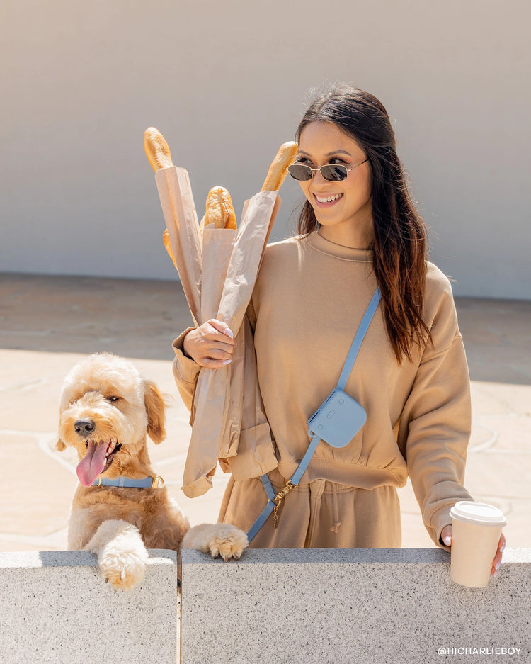 Laisse pour chien mains libres convertible 4 en 1 – Malibu