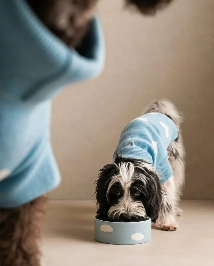 Cloud Pet Bowl Set