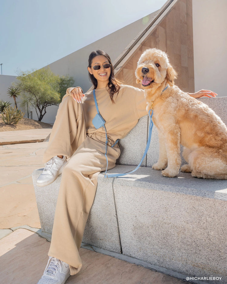 Laisse pour chien mains libres convertible 4 en 1 – Malibu