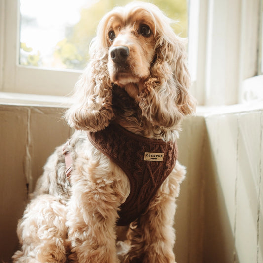 Cable Knit Jumper Harness – Heiße Schokolade