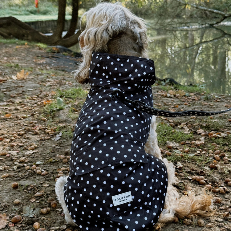 Dog Raincoat – Black Polka Dot