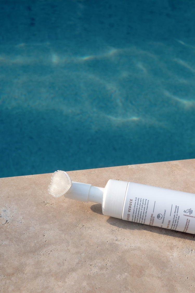 Amino Acid Paw Cleanser