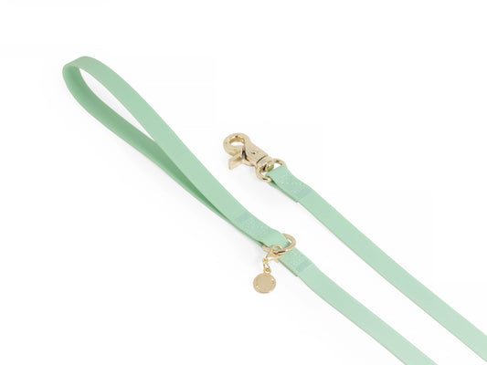 9m Waterpoof Dog Leash – Pistachio