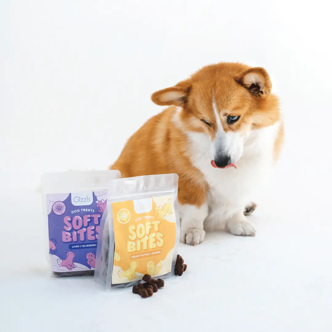 Liver & Blueberry Chewy Dog Treats - Kitsune & Jo