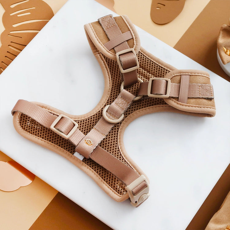 Pettorina Regolabile per Collo Pawtisserie