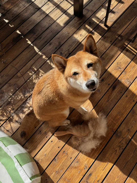 Brush for medium to long hair