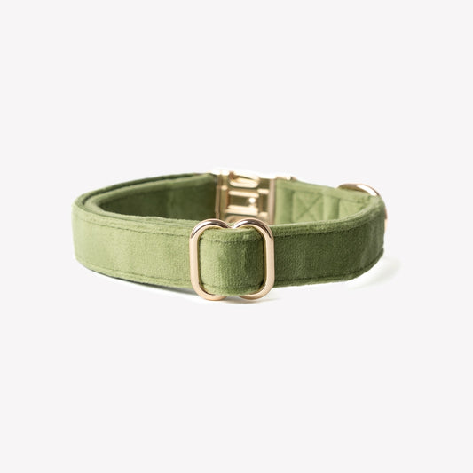 Green velvet collar