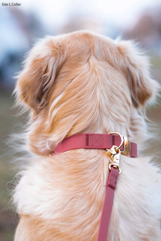 Mulberry Waterproof Dog Collar