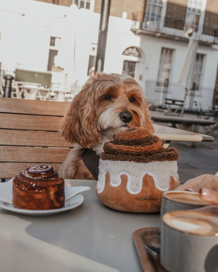 Cinnamon Roll – Jouet d'enrichissement