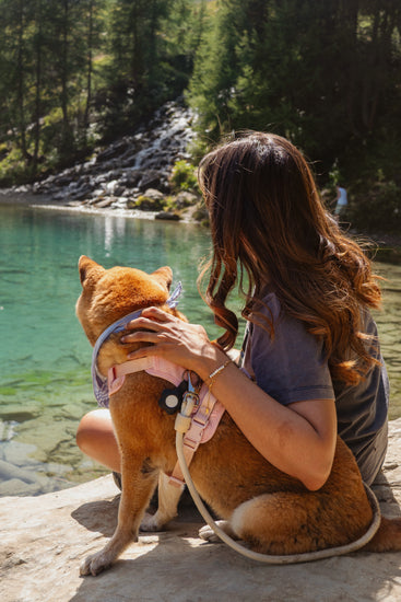 Woman sitting by a lake with a dog, surrounded by nature