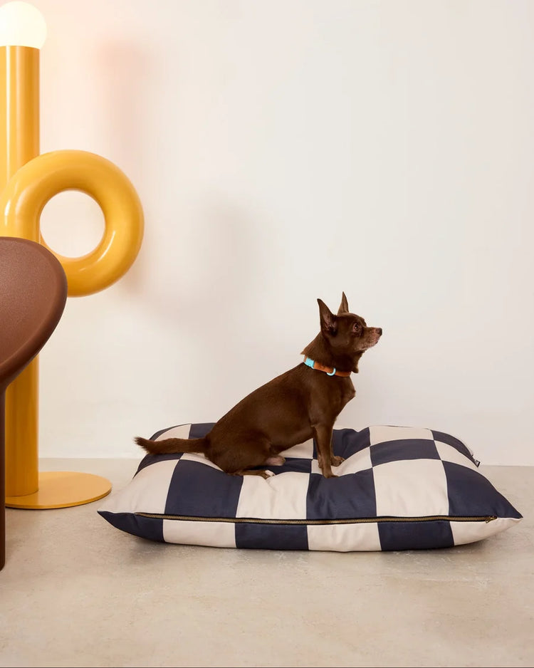 The Fritz Bed – Goalgetter