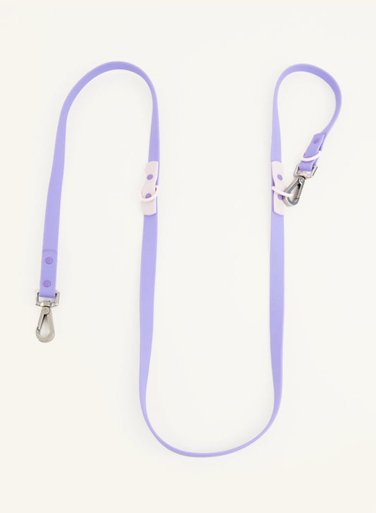 Laisse Fritz – Lilas