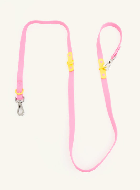 Laisse Fritz – Rose et jaune