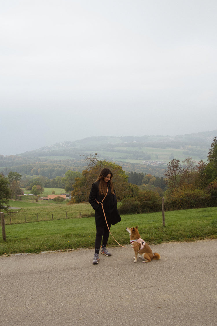 Laisse pour chien mains libres convertible 4 en 1 – Chai