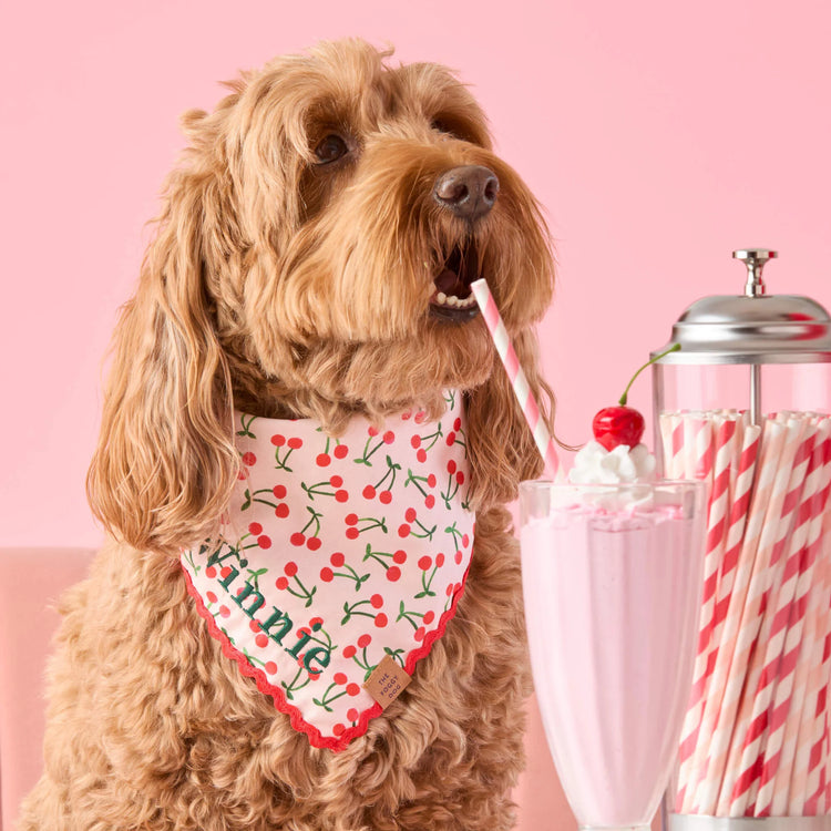 Bandana Cerises