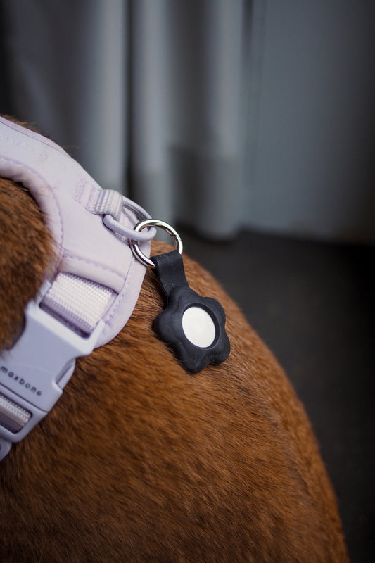 Flower silicon AirTag case on a purple harness wearing by a ginger dog.