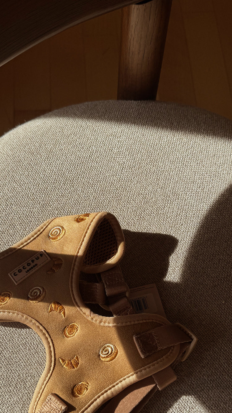 Pettorina Regolabile per Collo Pawtisserie