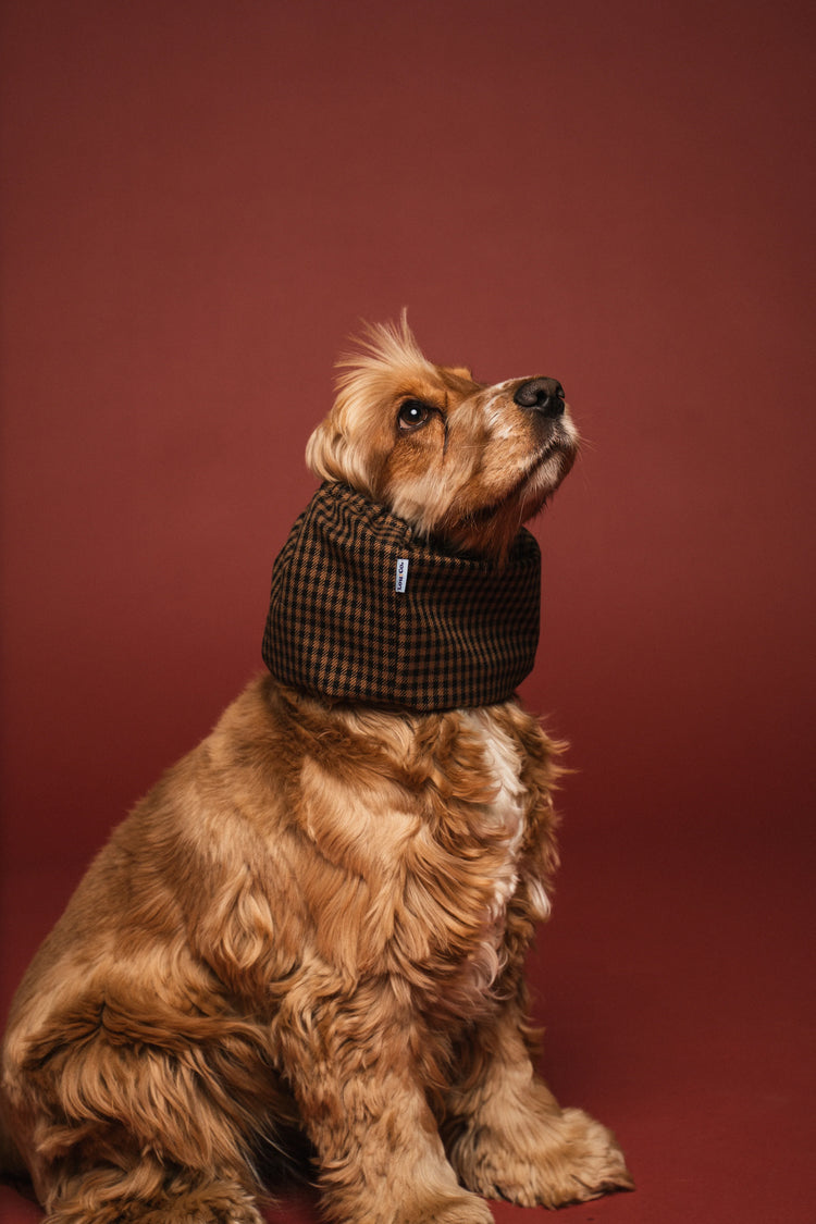 Dog Snood  Waterproof – Brown Checkered