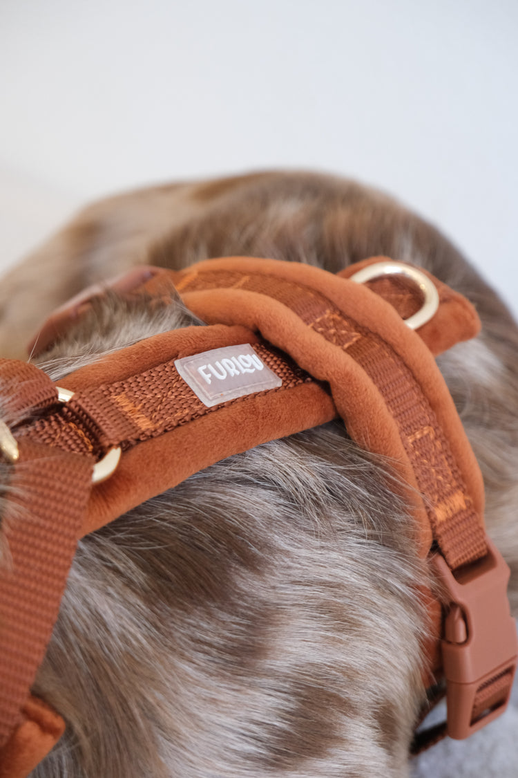 Samt Hundegeschirr – Tonfarbe