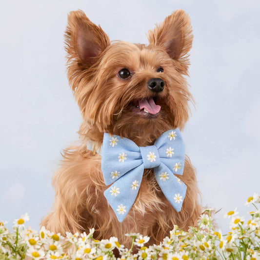 Daisy Embroidered Lady Dog Bow