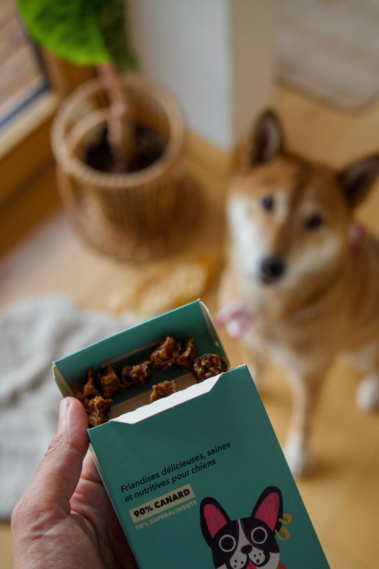 Les Pépites - Air-Dried Duck Snacks