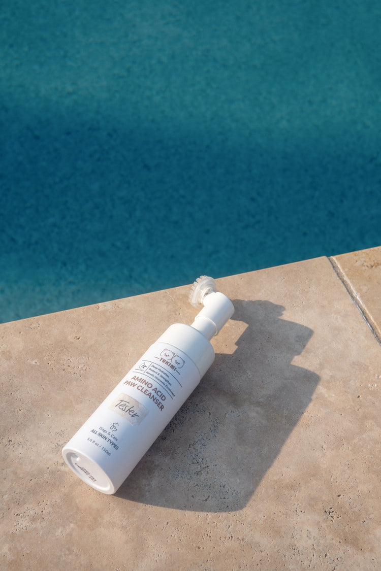 Amino Acid Paw Cleanser