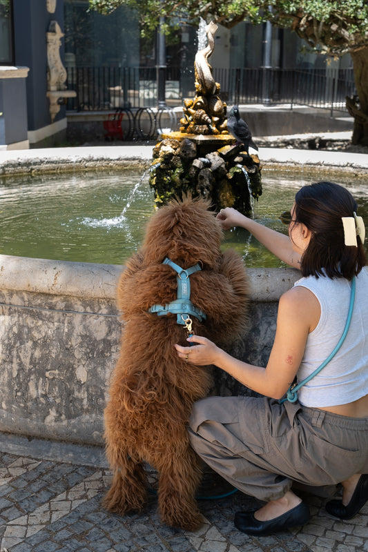 Guinzaglio in corda intrecciata a mani libere – Blu