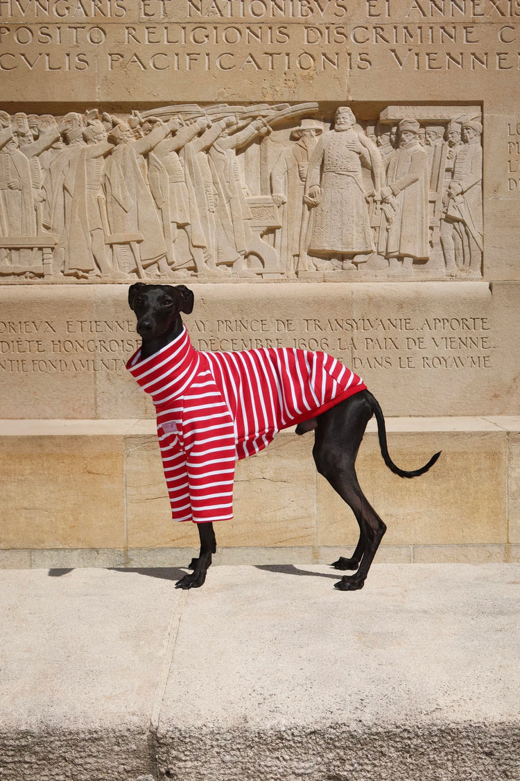 Dolce Bandito leisure shirt – Cherry Berry
