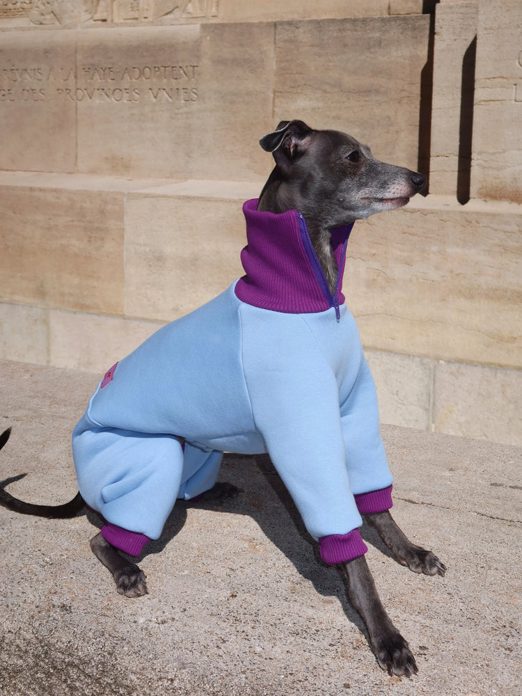 Ivy Suit – Misty Plum & Sky Blue