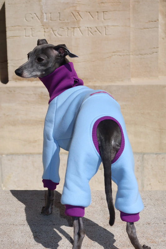 Ivy Suit – Misty Plum & Sky Blue