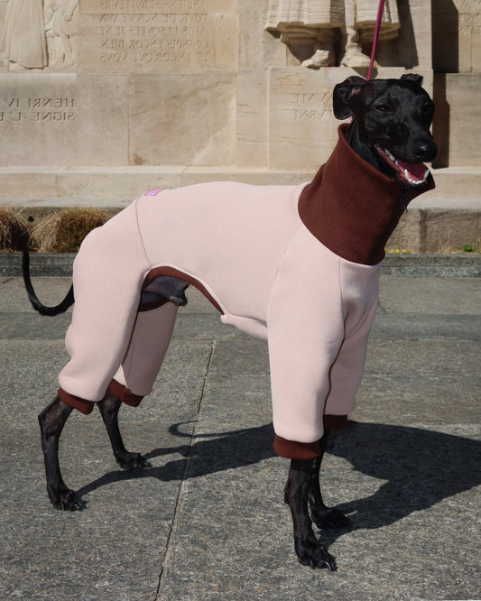 Ivy Suit – Sand Beige & Cocoa Brown