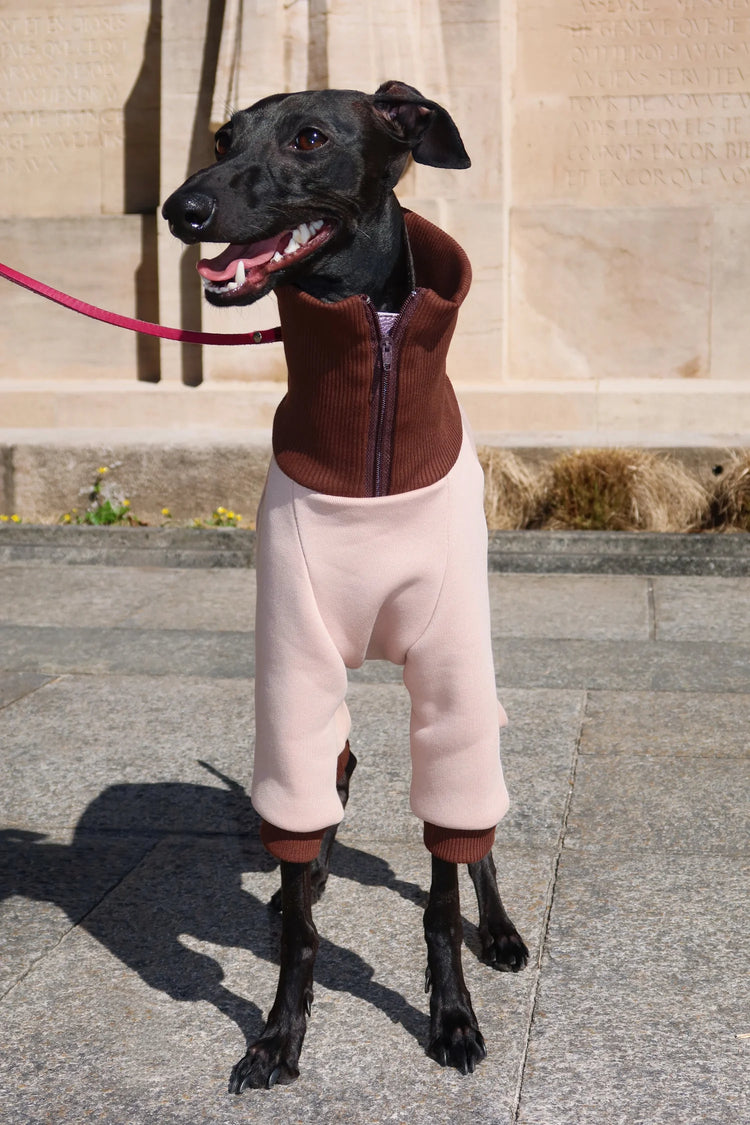 Ivy Suit – Sand Beige & Cocoa Brown