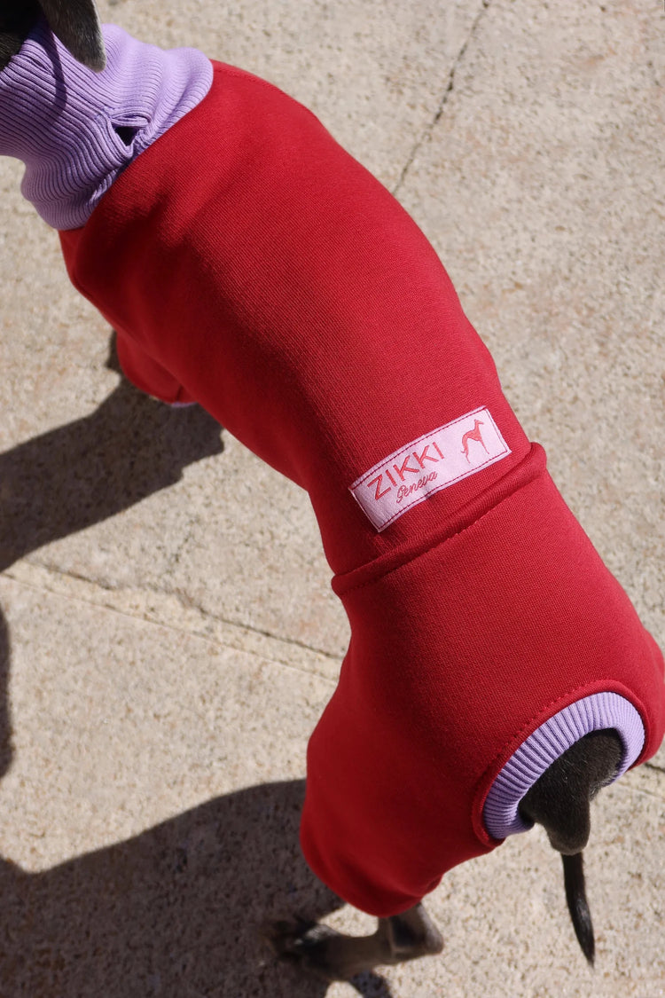 Ivy Suit – Burgundy Velvet & Lilac Bloom