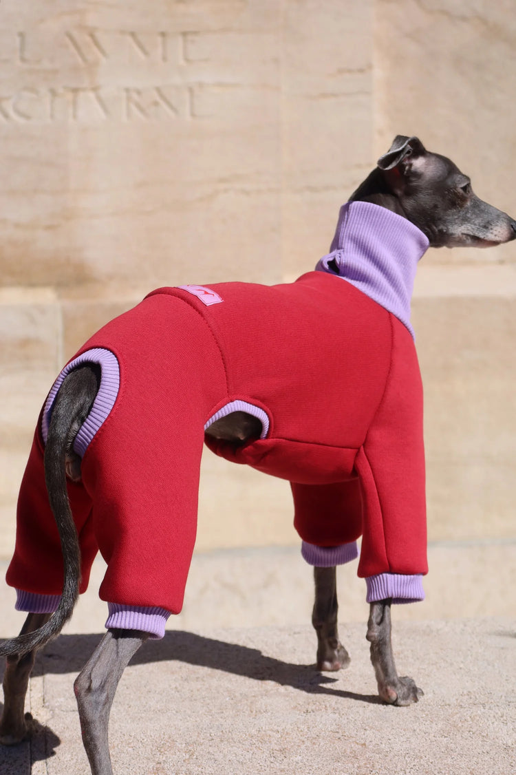 Ivy Suit – Burgundy Velvet & Lilac Bloom