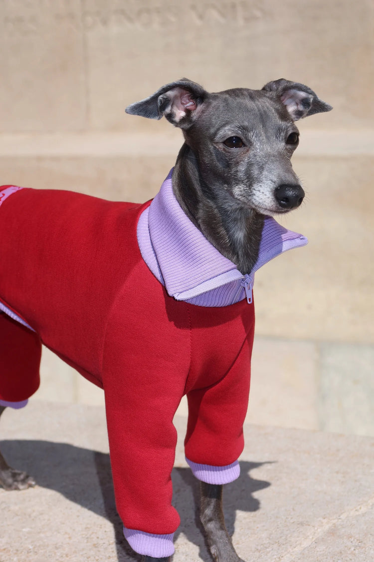 Ivy Suit – Burgundy Velvet & Lilac Bloom