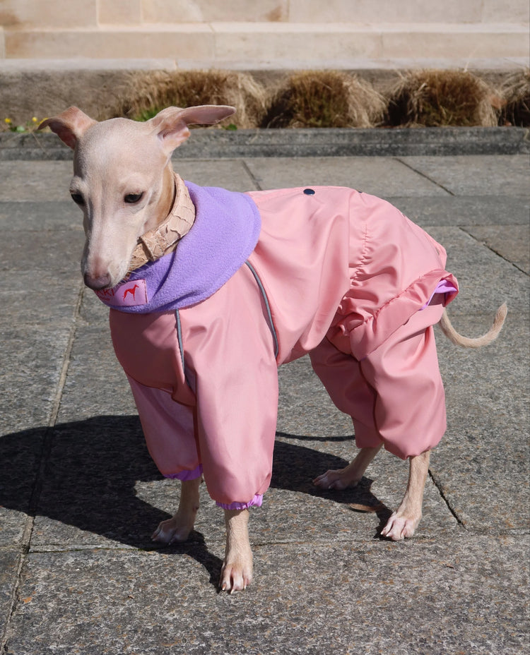 Candy Crush Coverall