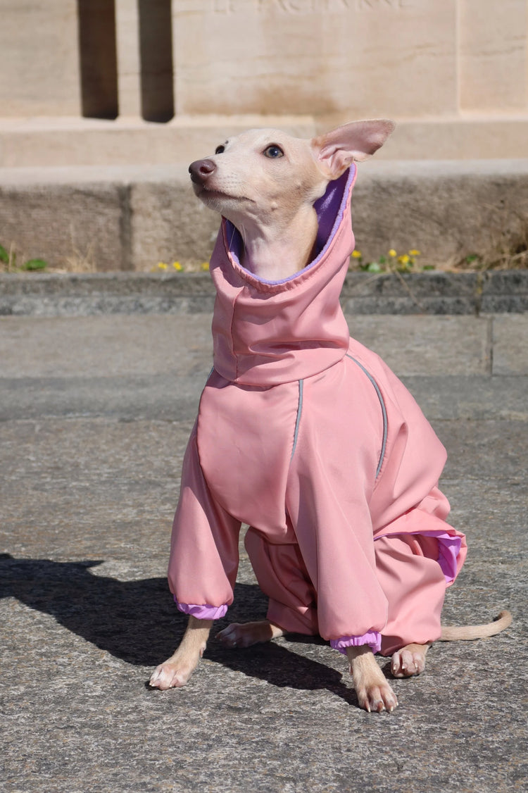 Candy Crush Coverall