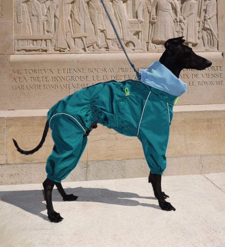 Urban Rainway Coverall