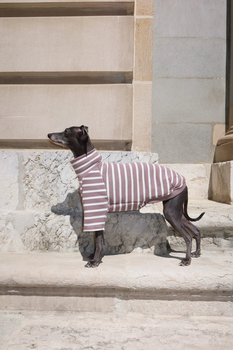 Dolce Bandito leisure shirt – Cappuccino