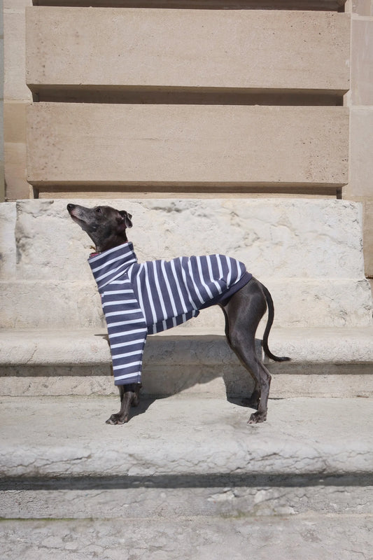 Dolce Bandito leisure shirt – Graphite
